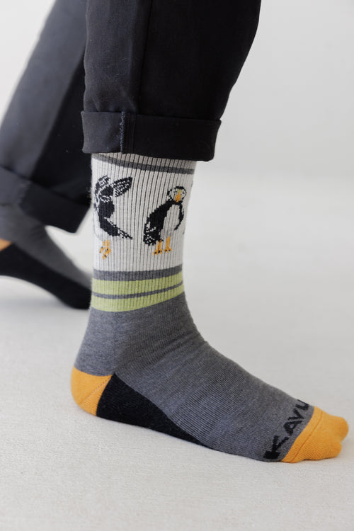 Puffin