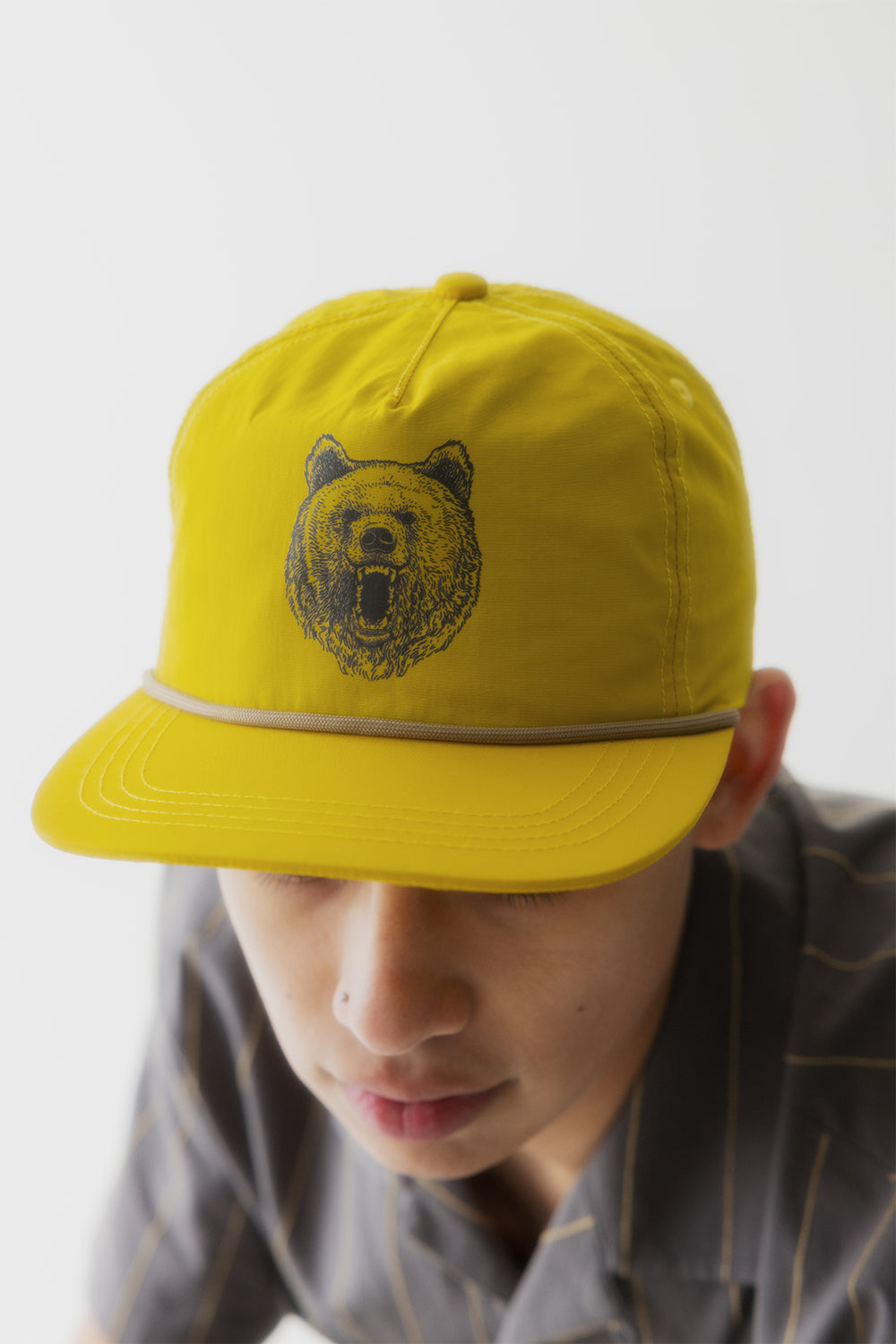 Honey Bear