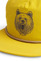 Honey Bear