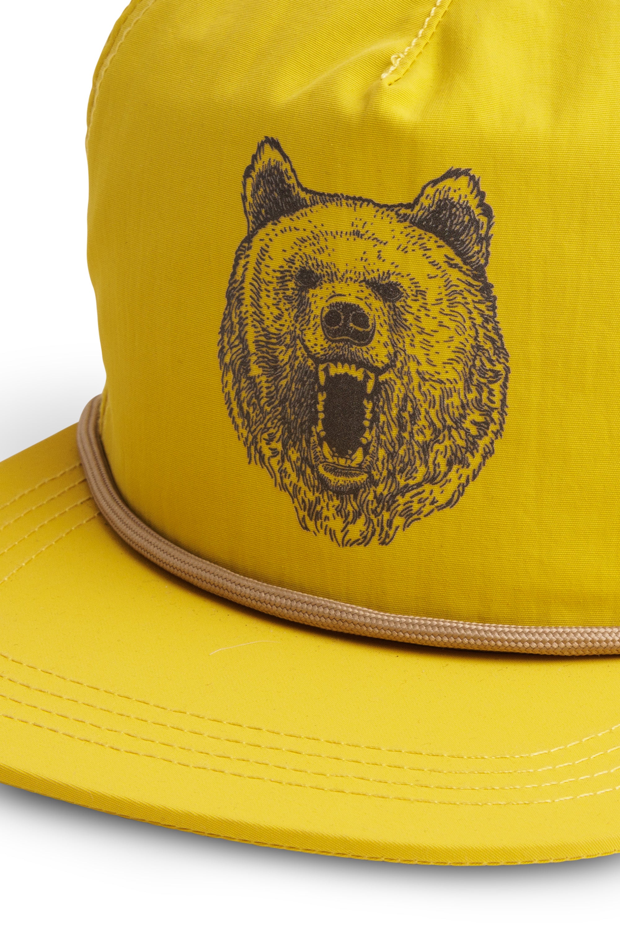 Honey Bear