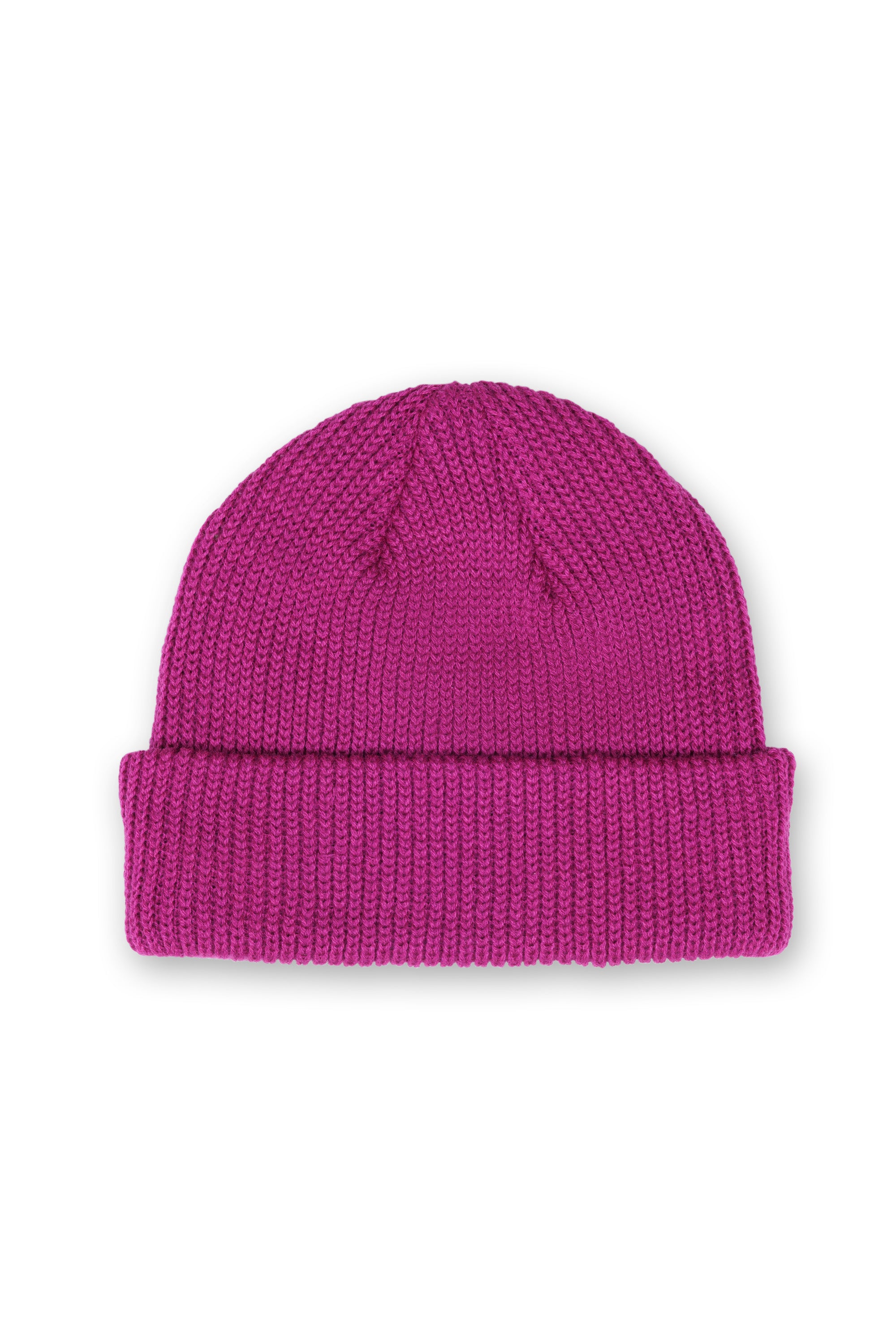 Winter Berry