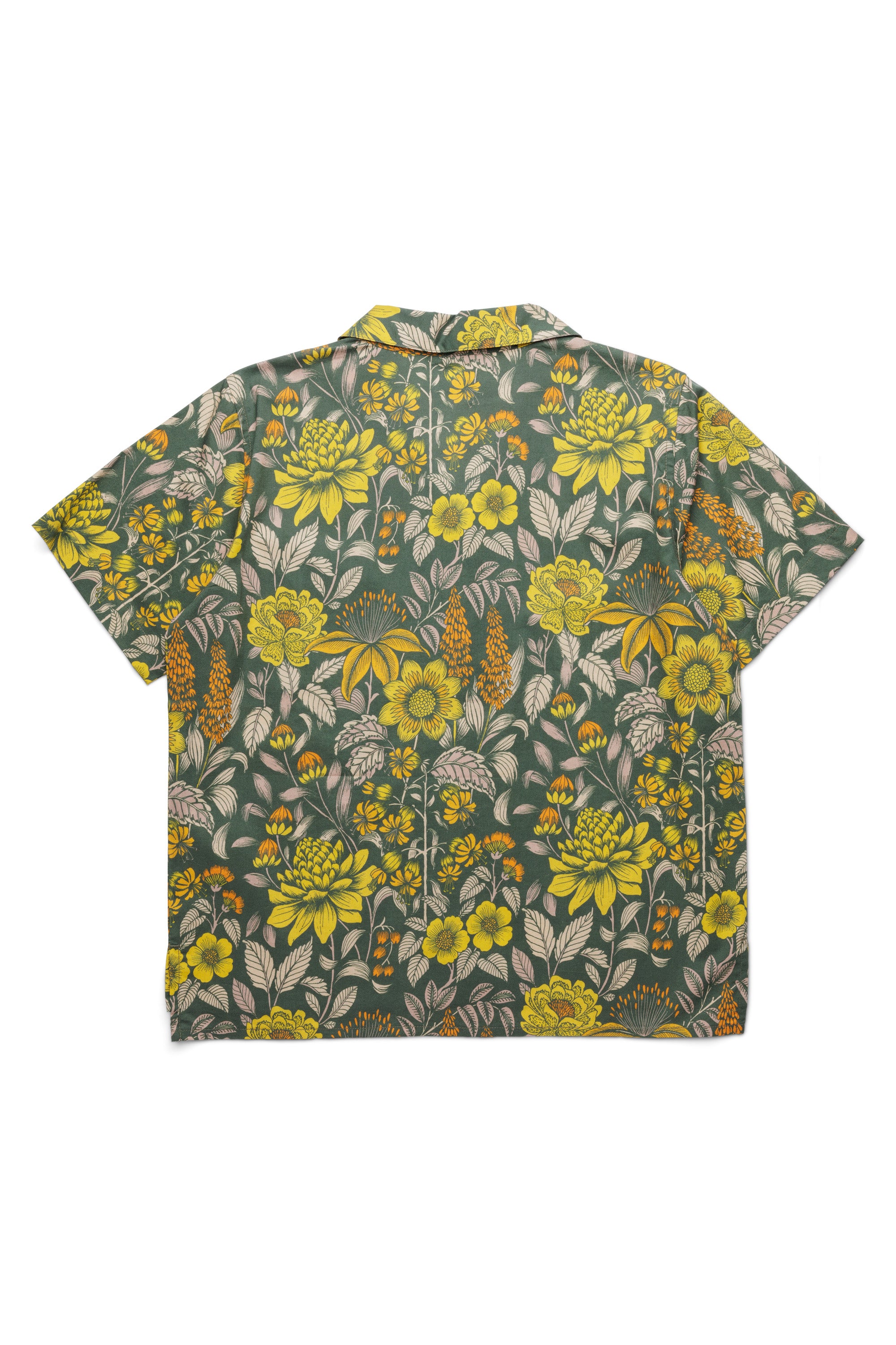 Cedar Springs – KAVU.com