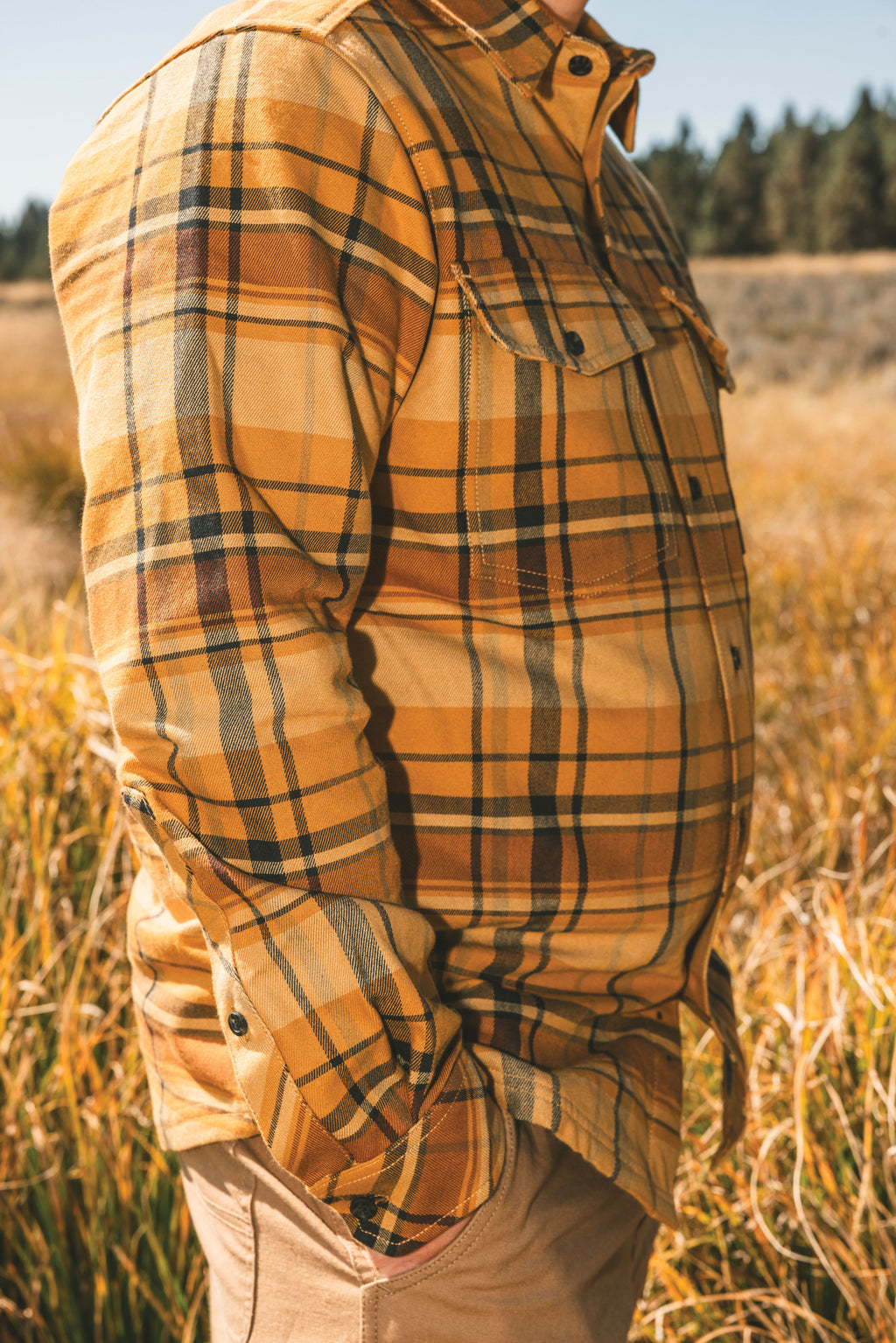 Mustard