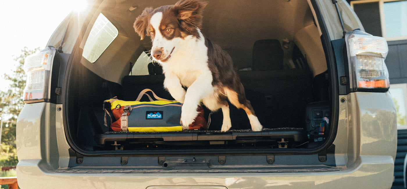 Dog kavu bag best sale