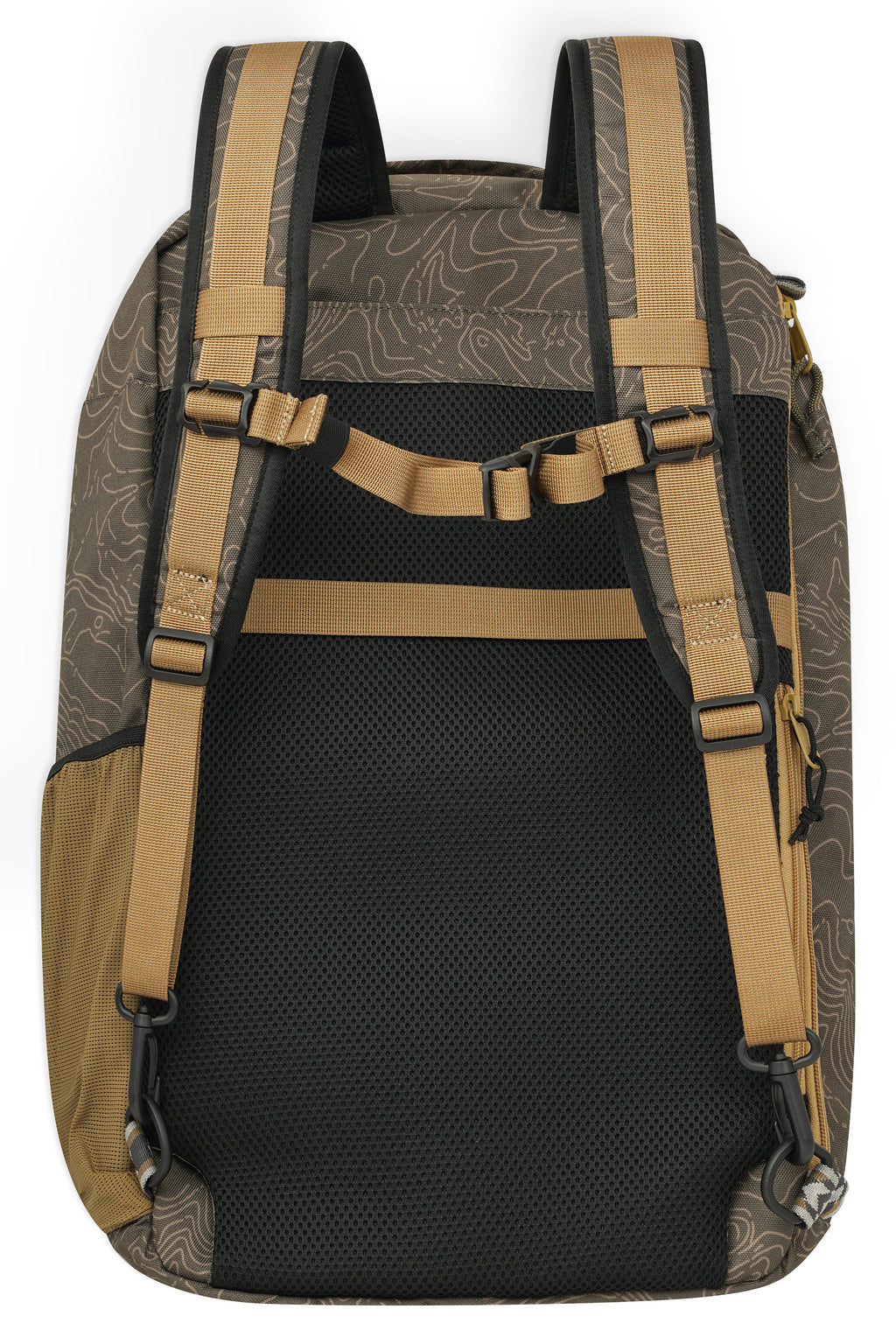 Olive Topo