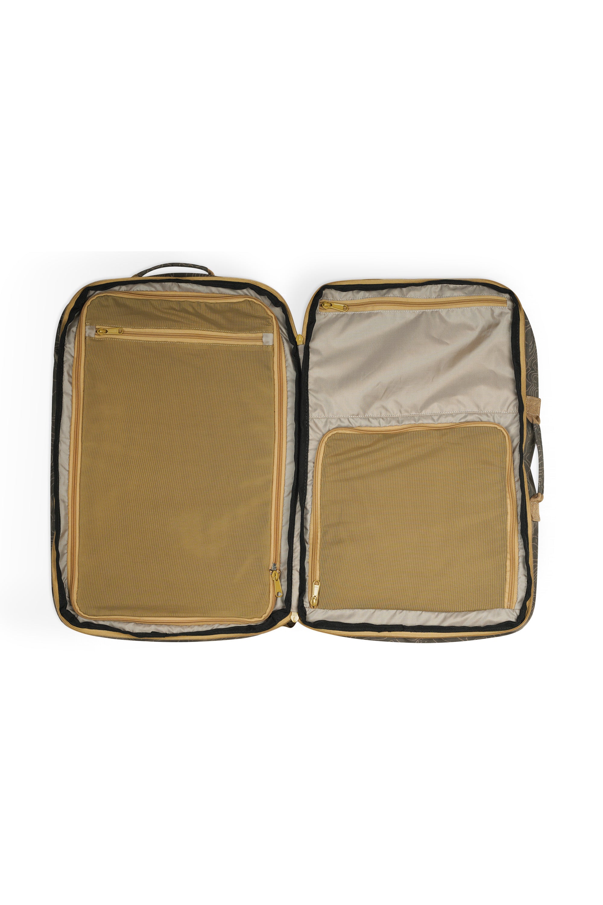 Olive Topo
