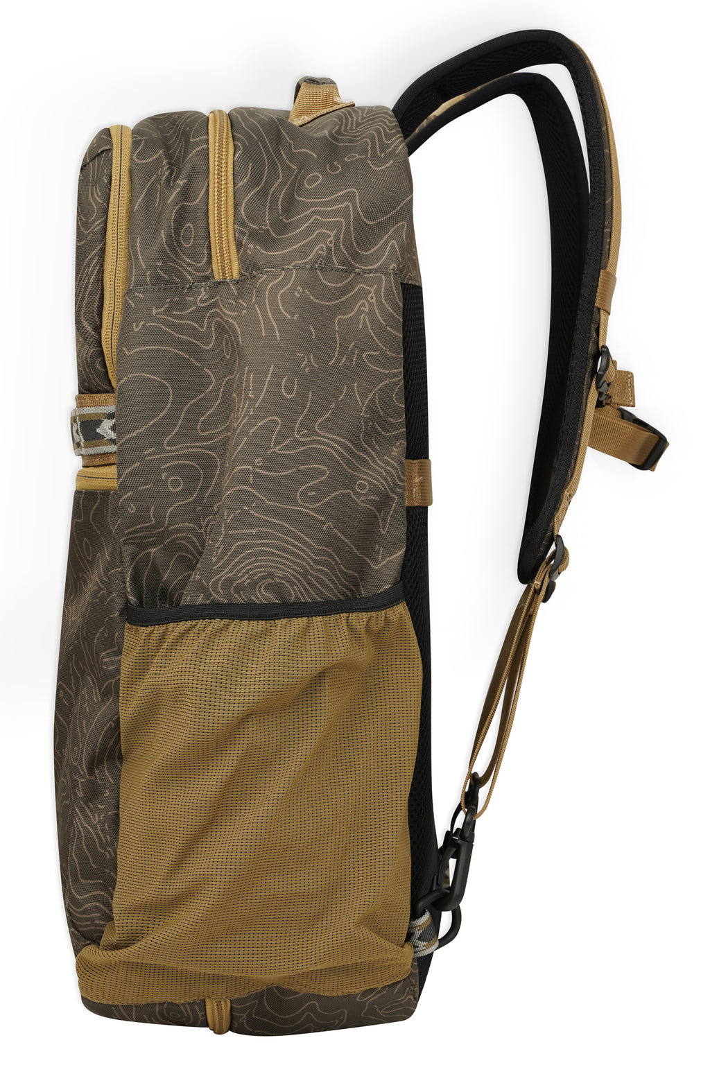 Olive Topo
