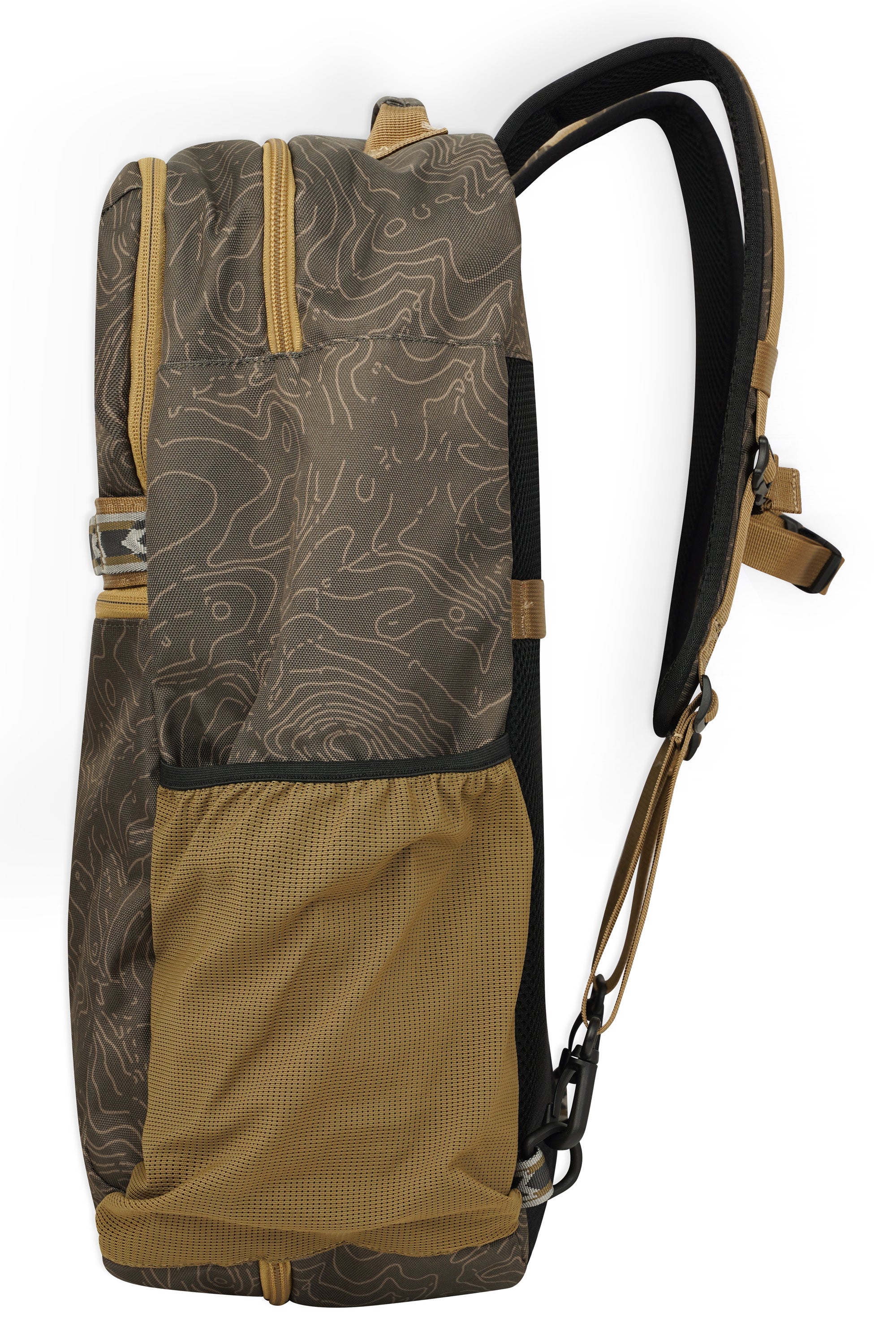 Olive Topo