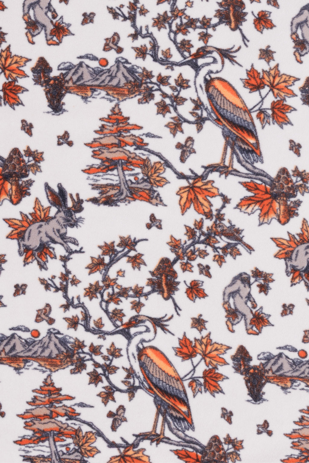 Faraway Forest