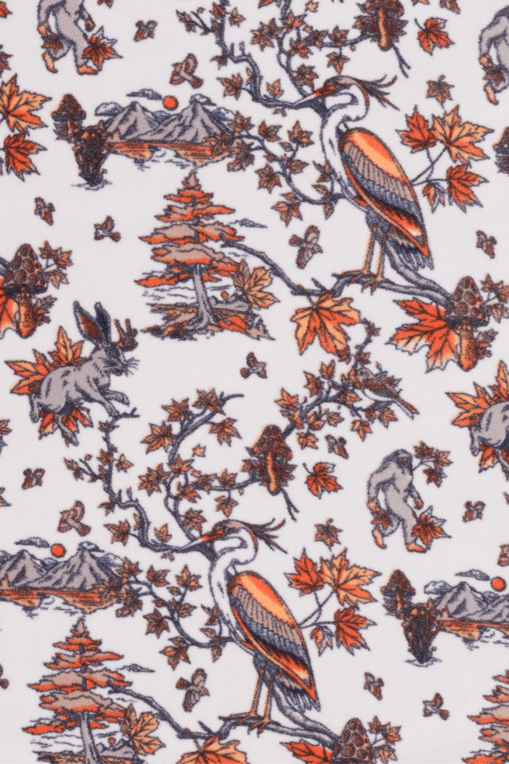Faraway Forest