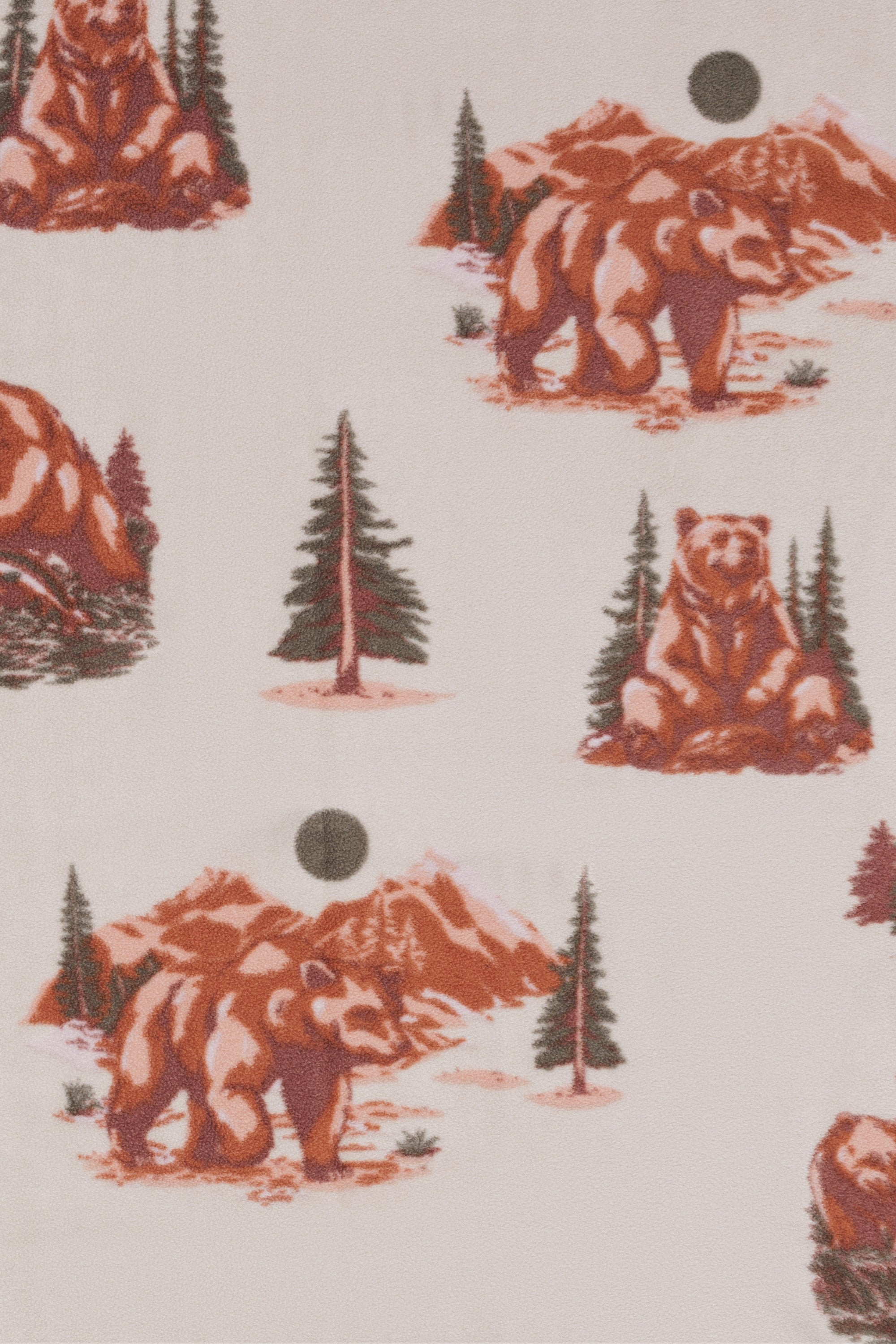 Grizzly Mountain