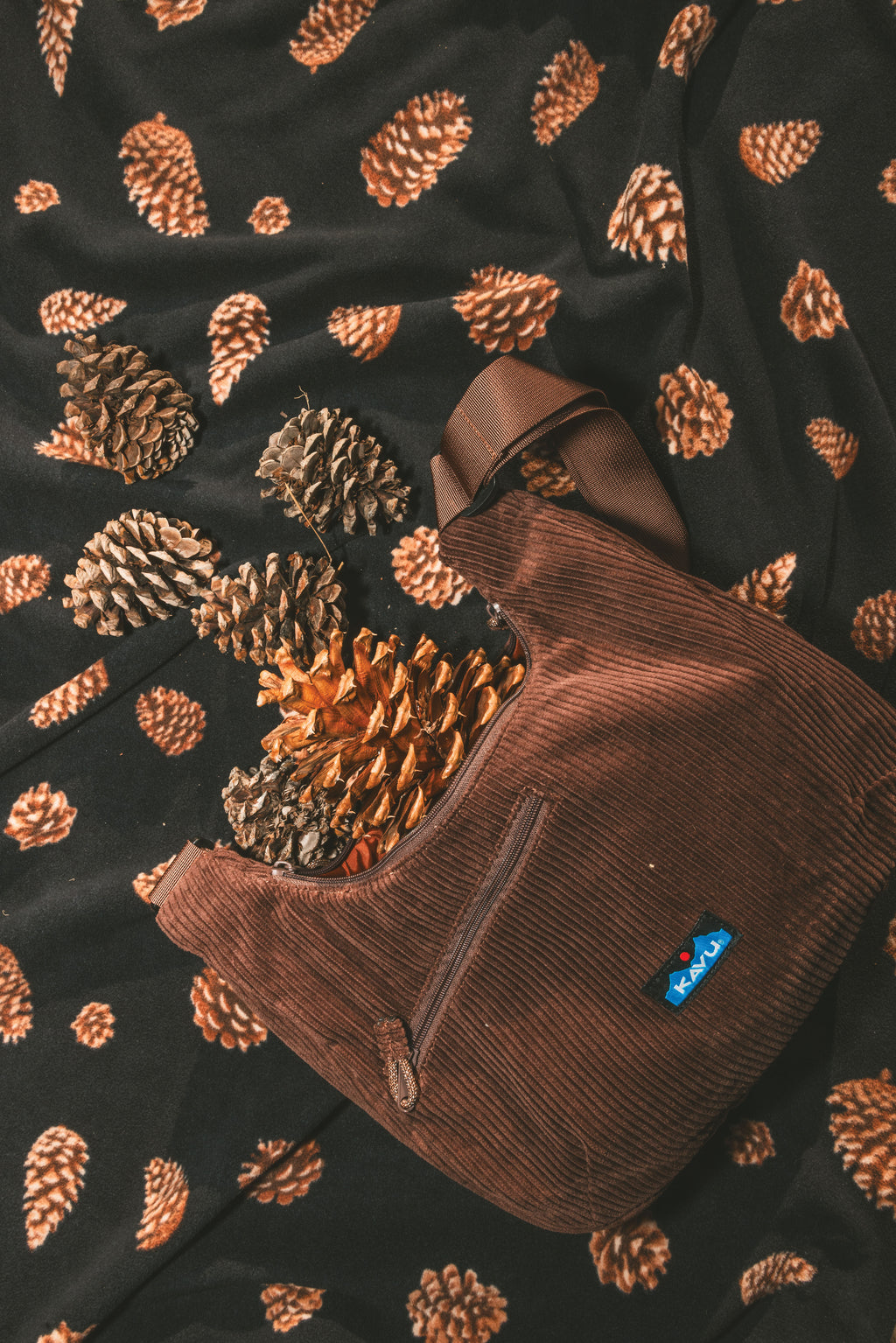 Pine Cones